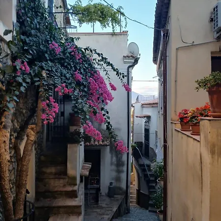 Beautiful, Sunny 70m2, Close To The Sea Lejlighed